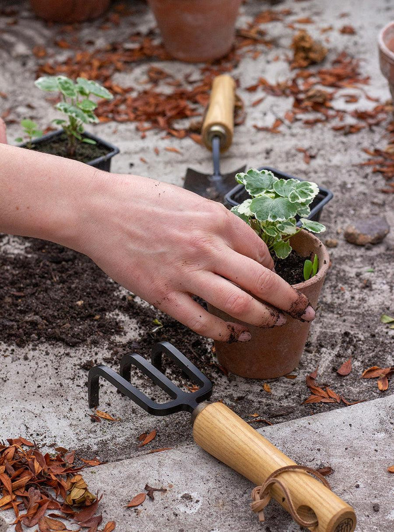 Small Japanese Cultivator