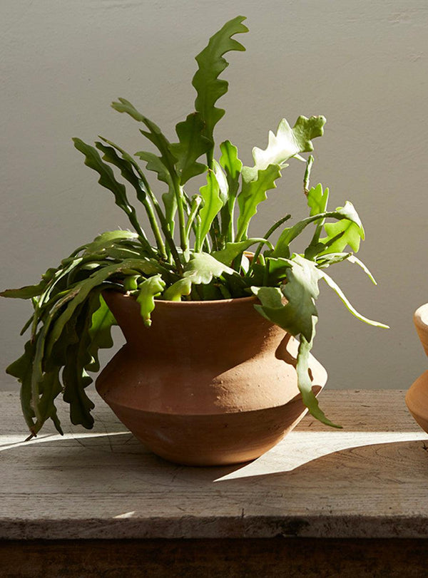 Nilo Handmade Terracotta Pot