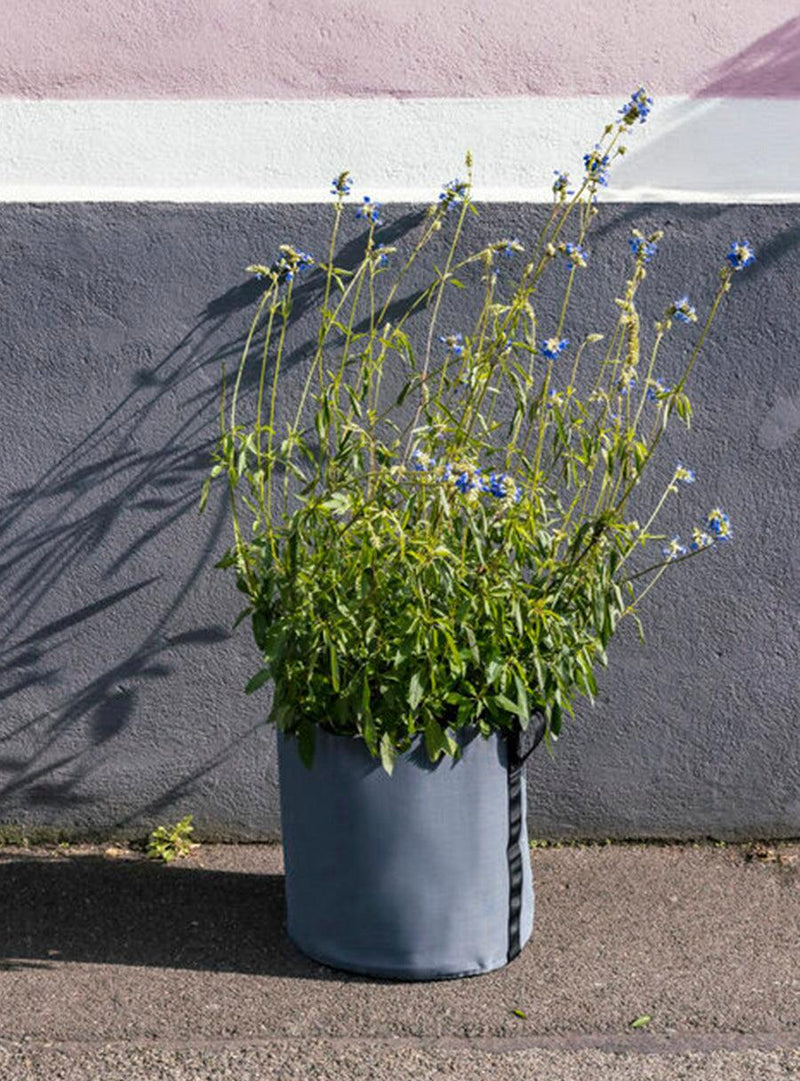 Pot de fleur rond en toile 10 L - gris-Bacsac-Jardiniste